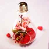 Clear Glass Bulb Terrarium Clear Glass Bulb Terrarium