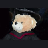 Graduation Bear Graduation Bear