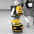Bee Hard Trolley Case Bee Hard Trolley Case