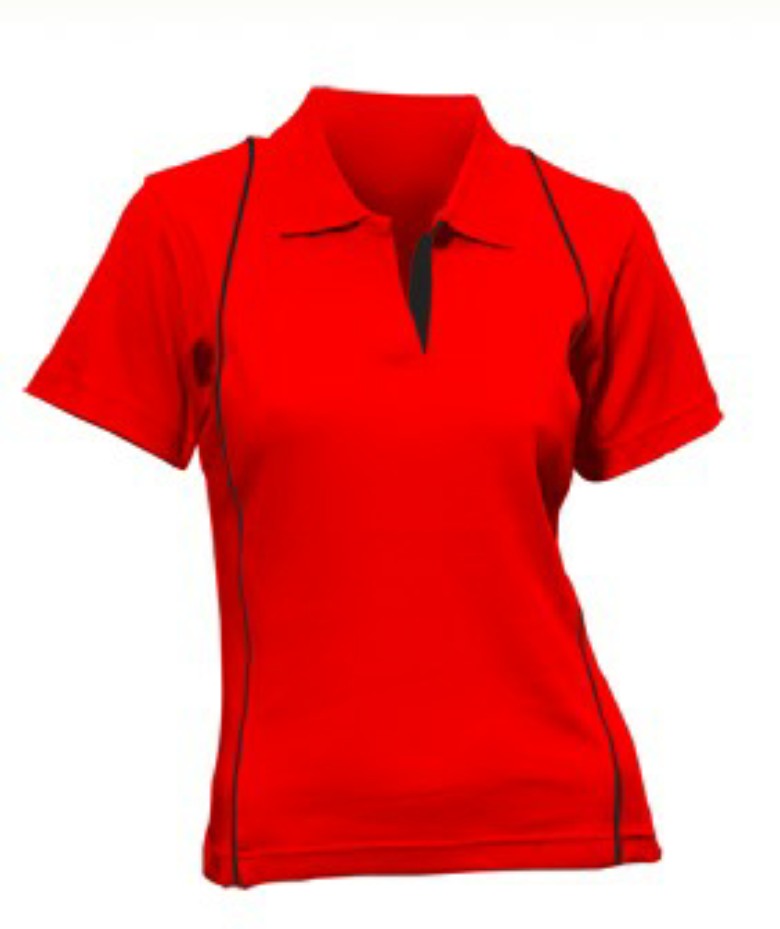 Ladies 100% Cotton T-Shirt (Polo)