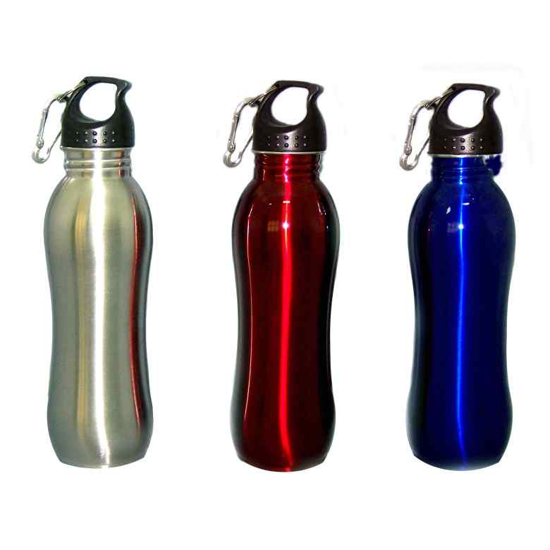 ASB76 Stainless Steel Sport Bottle w/Carabiner (700ml)