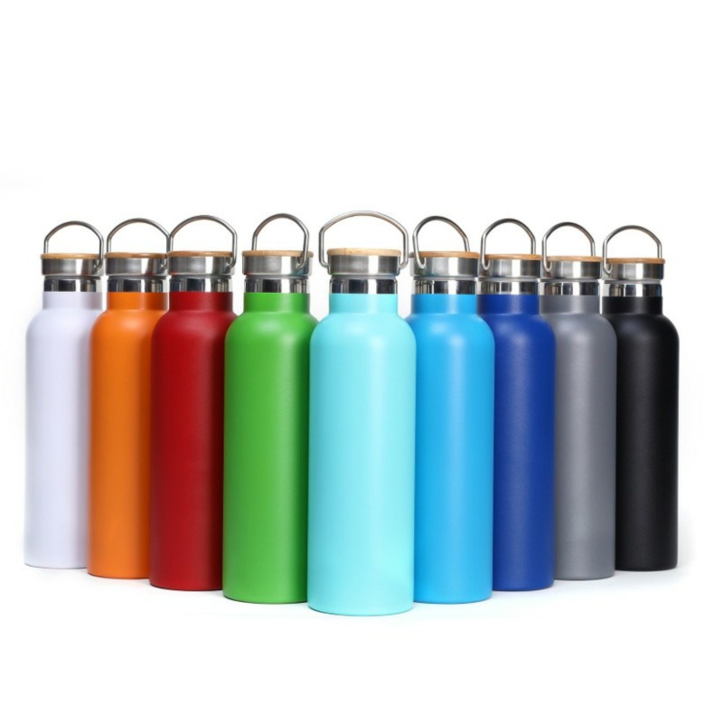 Insulated Double Wall Stainless Steel Water Bottle with Handle [