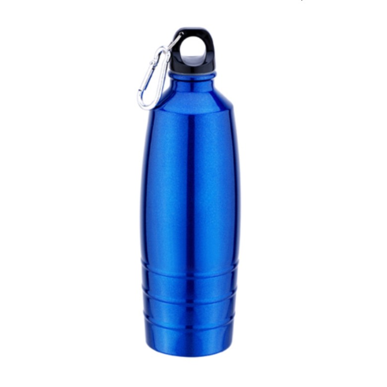 Stainless Steel Sports Bottle with carabiner (700ml)