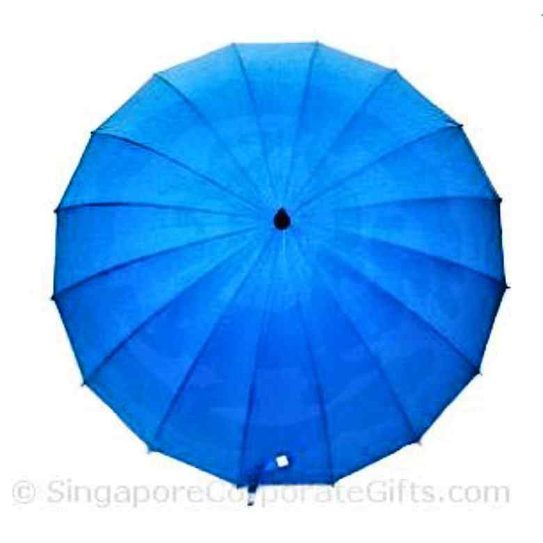 Umbrella with 16 Panels (24\")