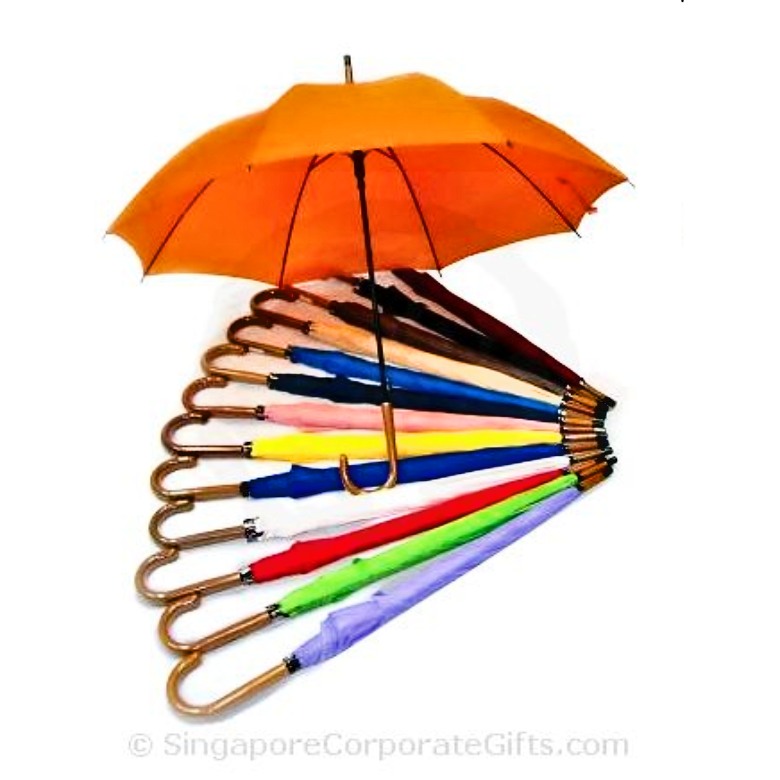 Umbrella with wood-like handle (24\")