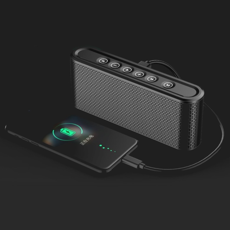 Bluetooth Speaker with Powerbank [8000mAh]