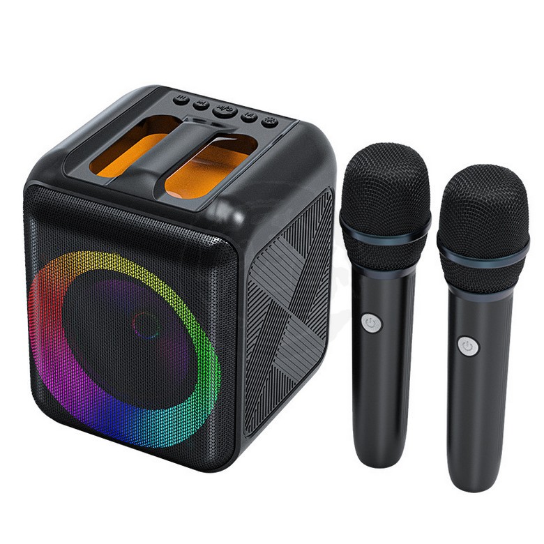 Karaoke Speaker [2 Mic]