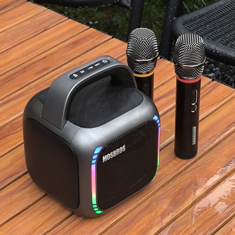 Karaoke Speaker with Handle [2 Mic]