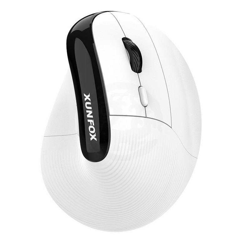 H5 Ergonomic Wireless Mouse
