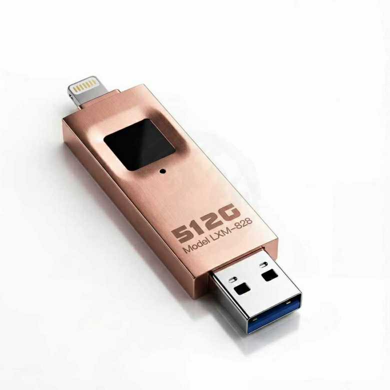 Figerprint Lock Thumbdrive [512GB]