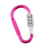 Carabiner Lock (3 combinations) Carabiner Lock (3 combinations)