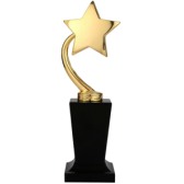 Single Golden Star Trophy Single Golden Star Trophy